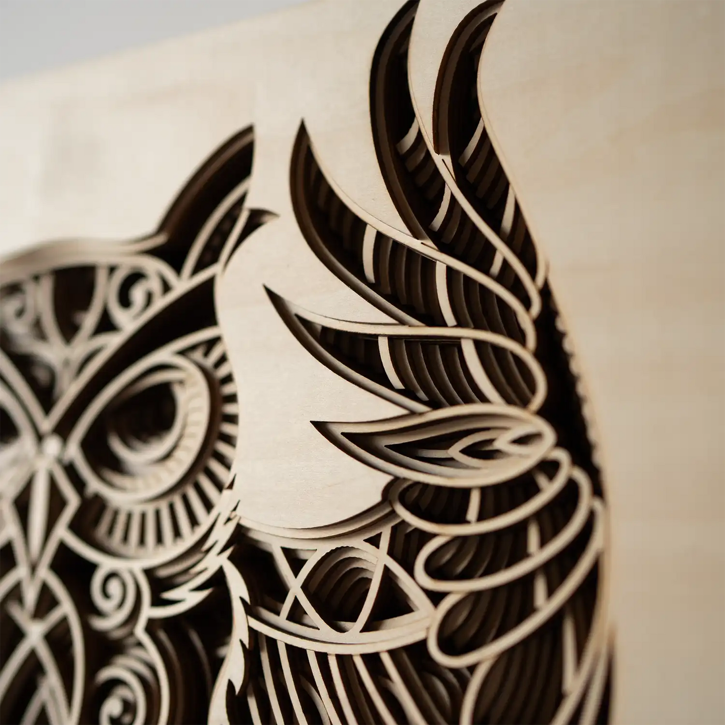 Owl detail