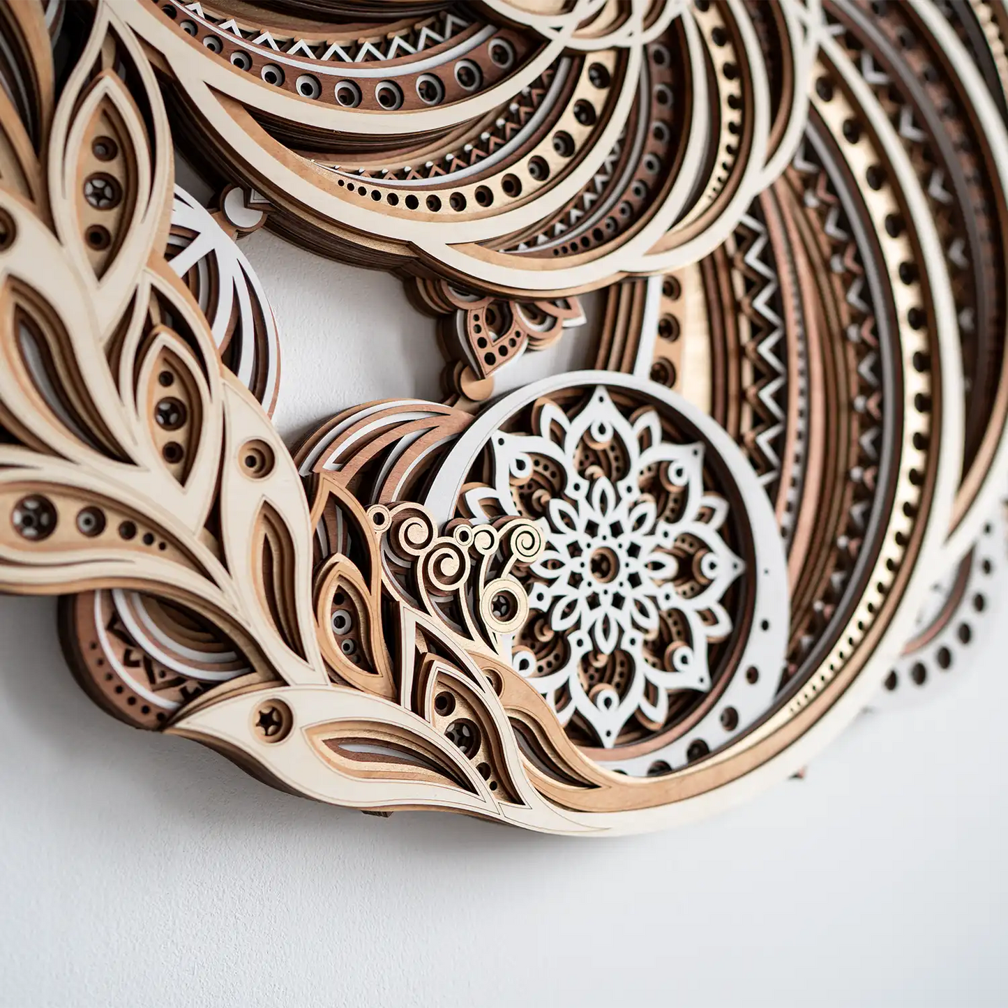 Yinyang Nautilus detail