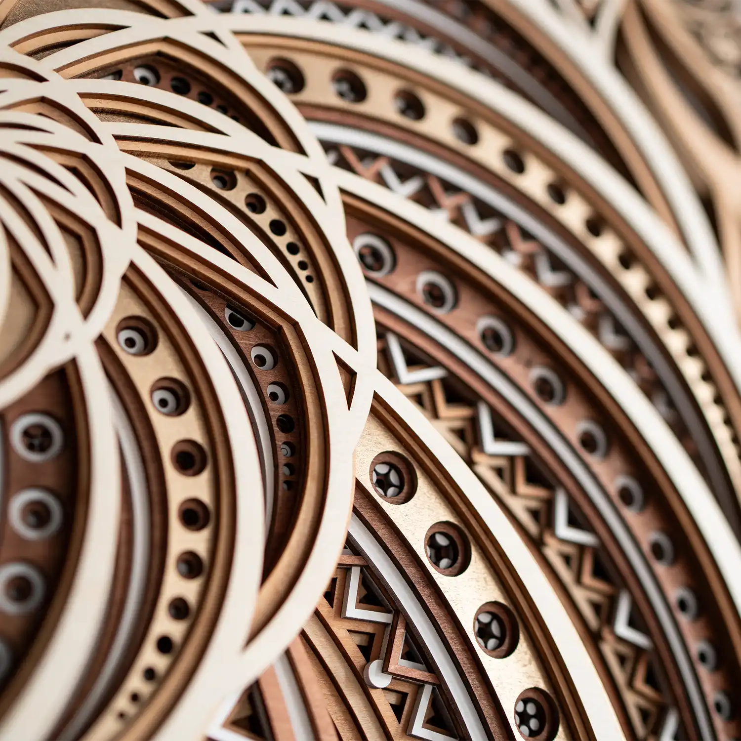 Yinyang Nautilus detail