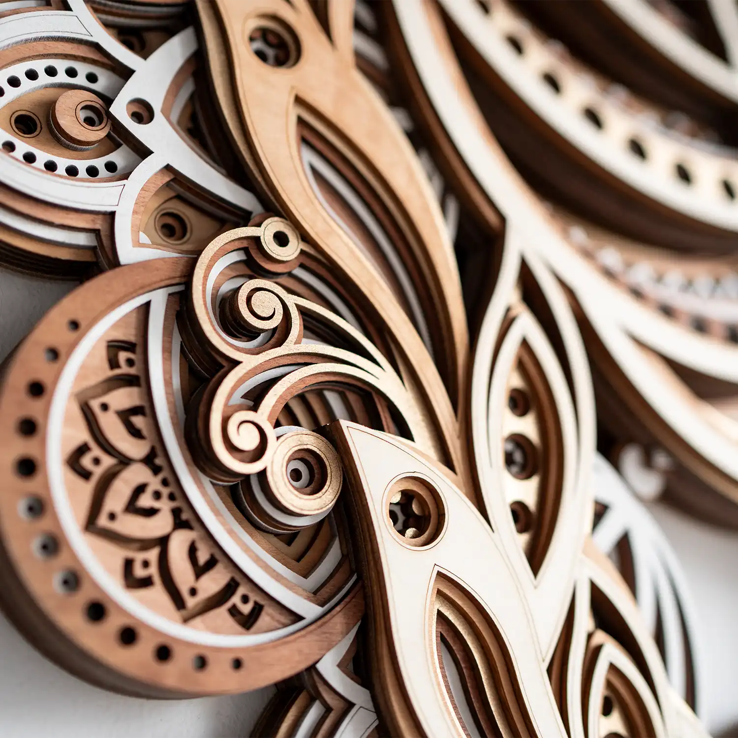 Yinyang Nautilus detail