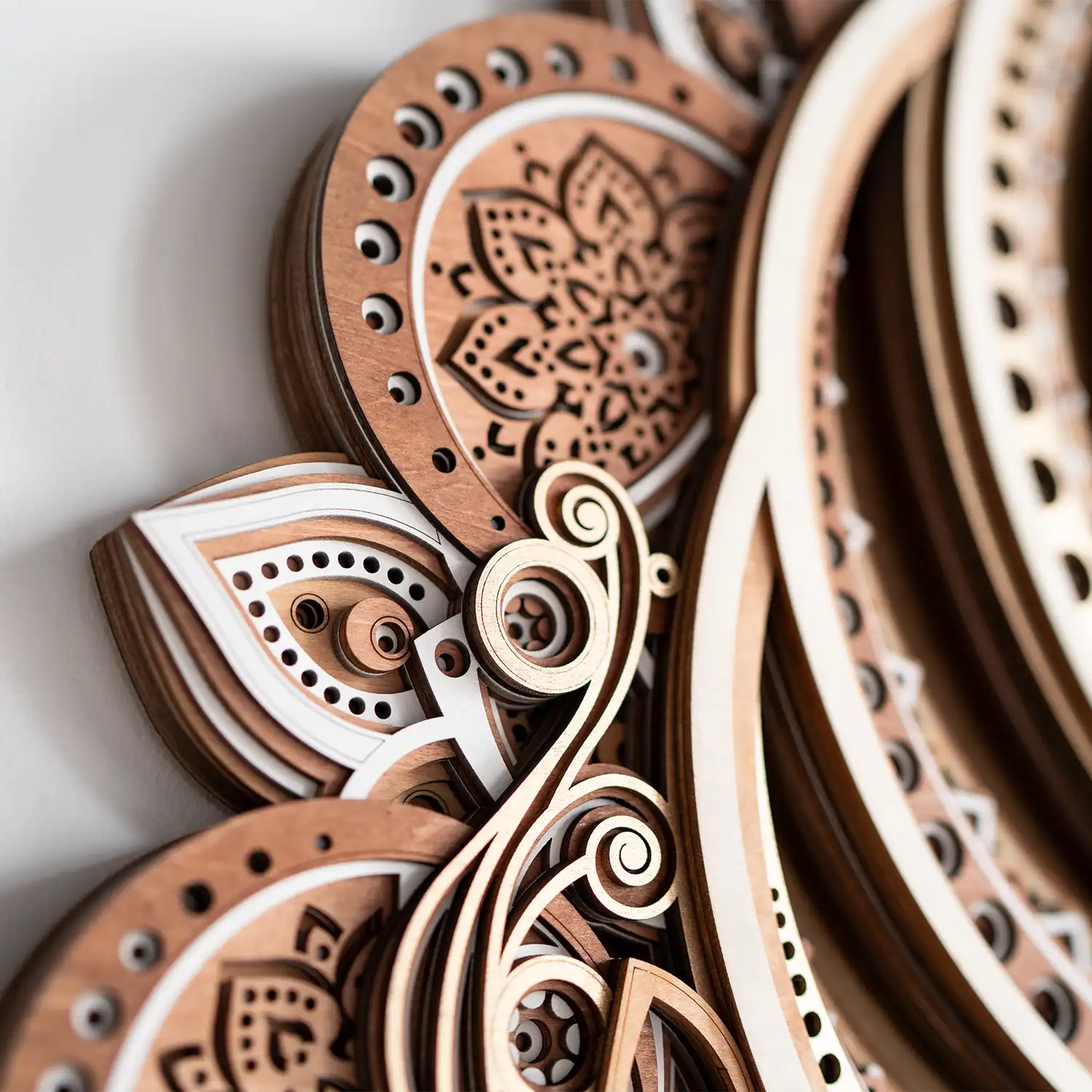 Yinyang Nautilus detail