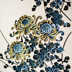 Chrysanthemum detail