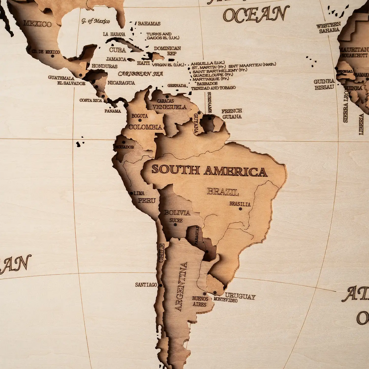 Grand Navigator Panoramic detail