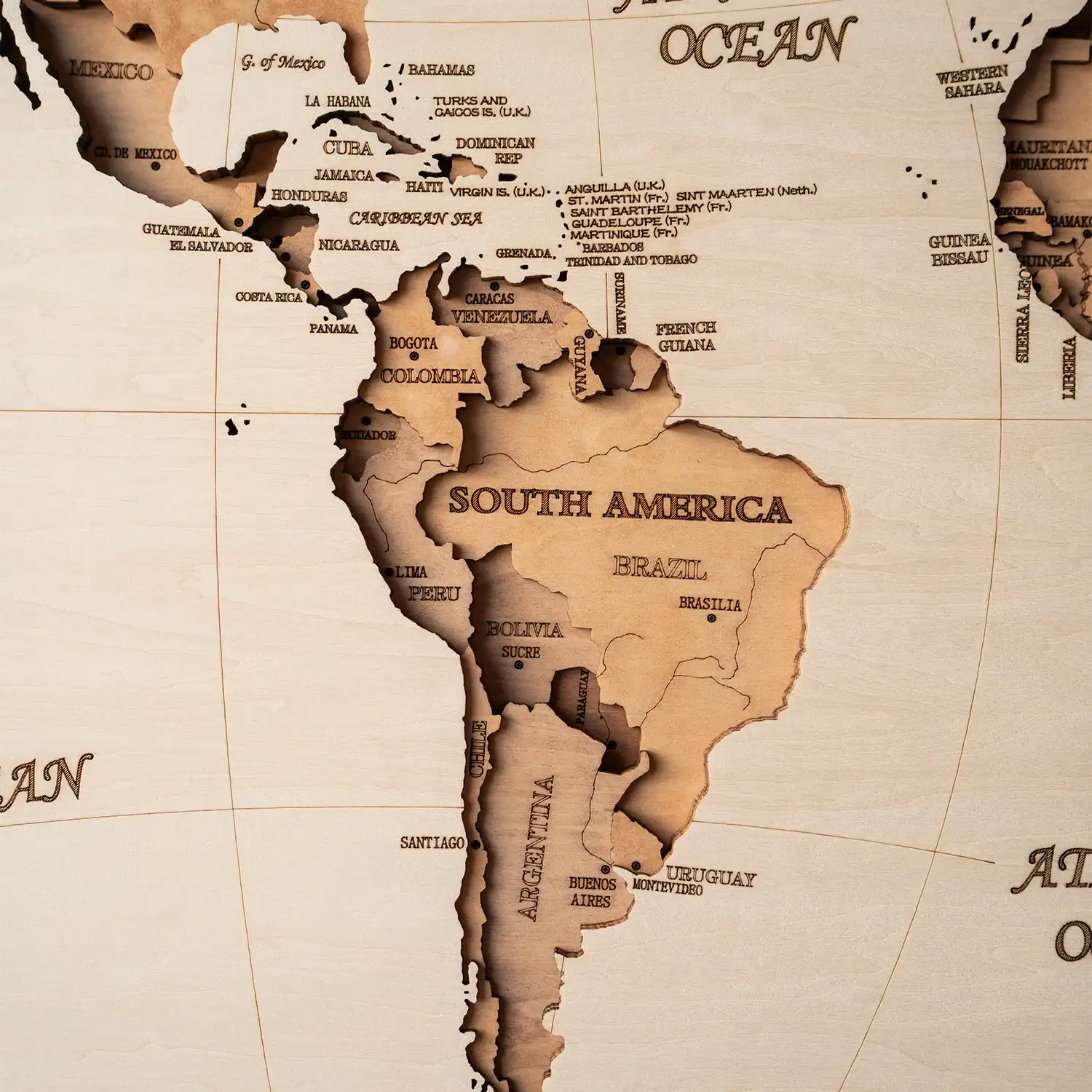 Grand Navigator Panoramic detail