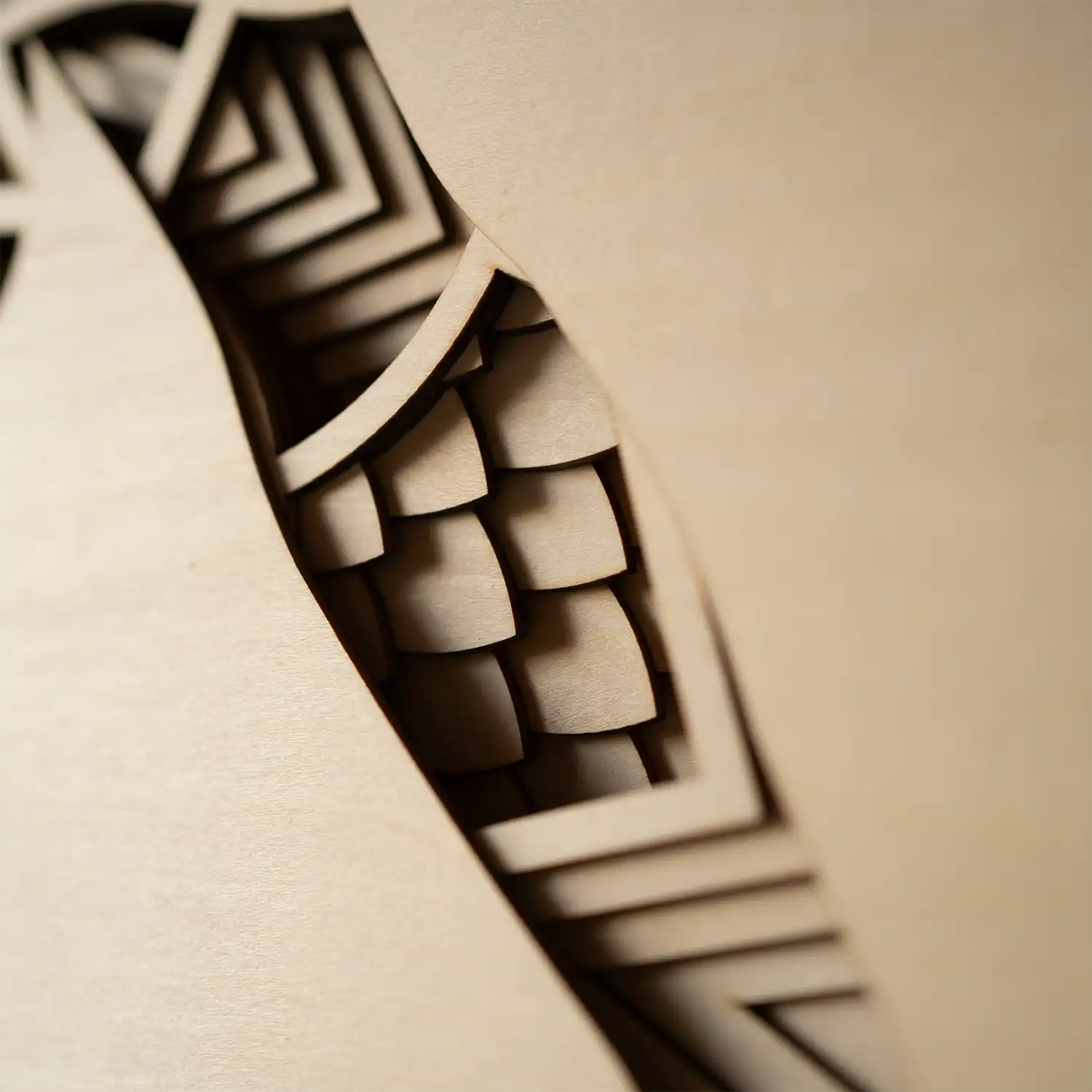 Lion detail