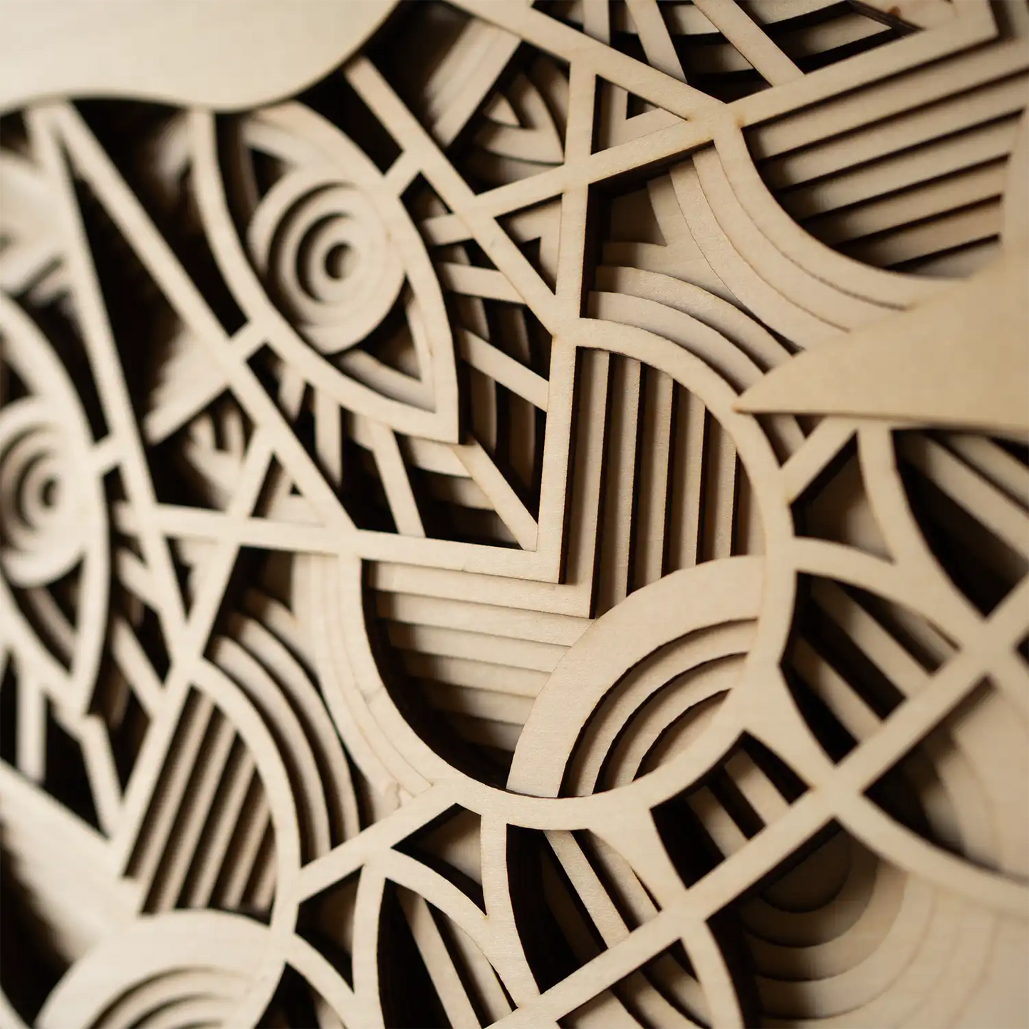 Lion detail
