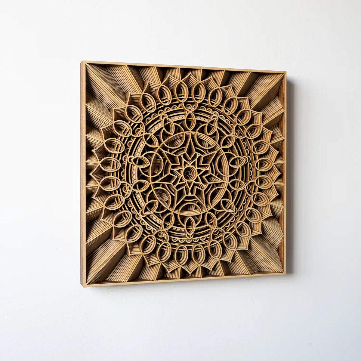 Nebula elevation view