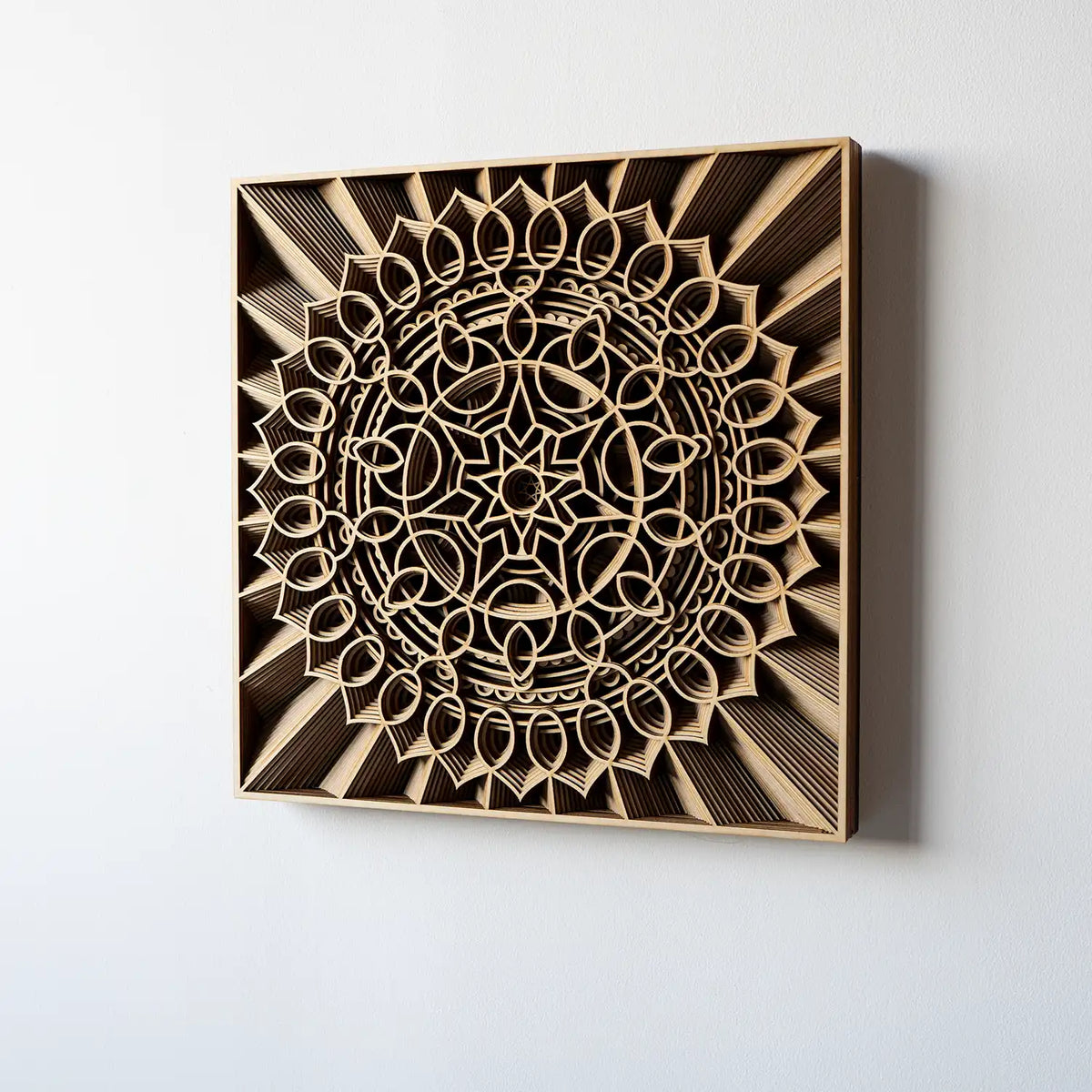 Nebula elevation view