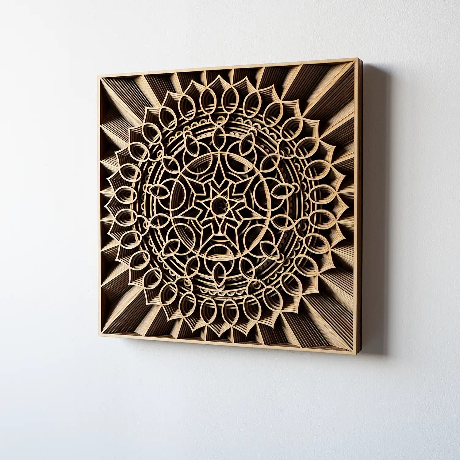 Nebula elevation view