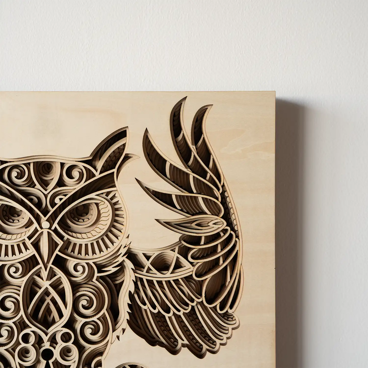 Owl detail