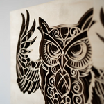 Owl detail
