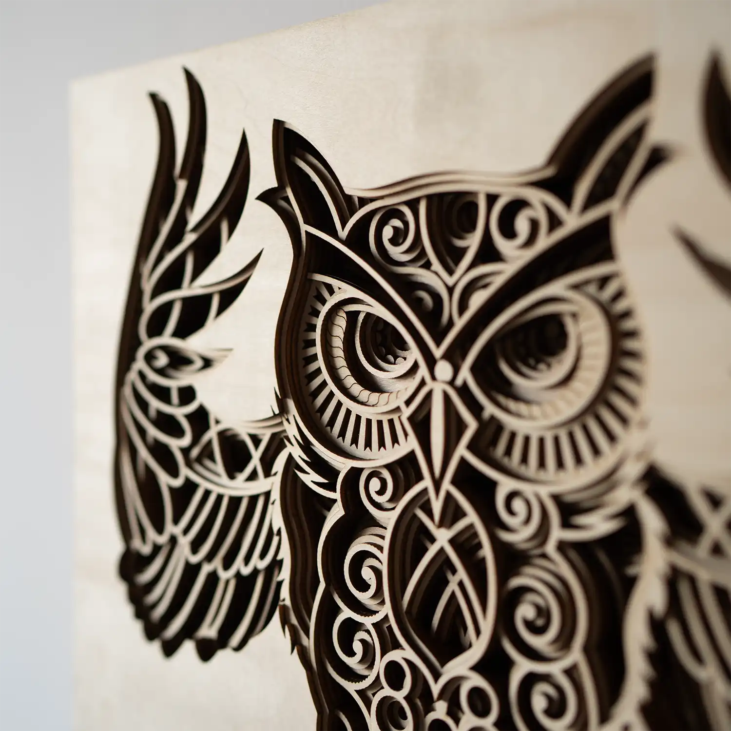 Owl detail