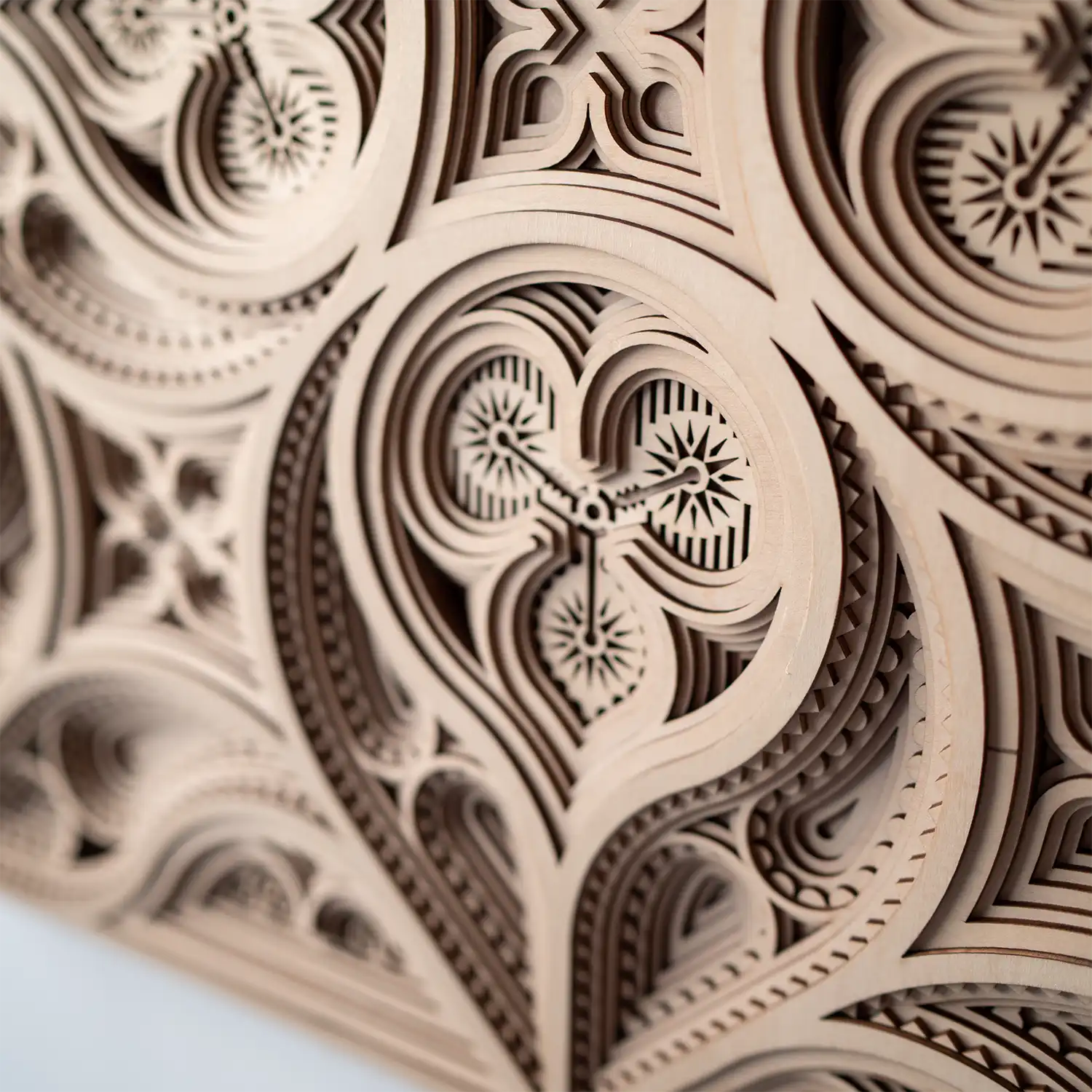 Rose detail