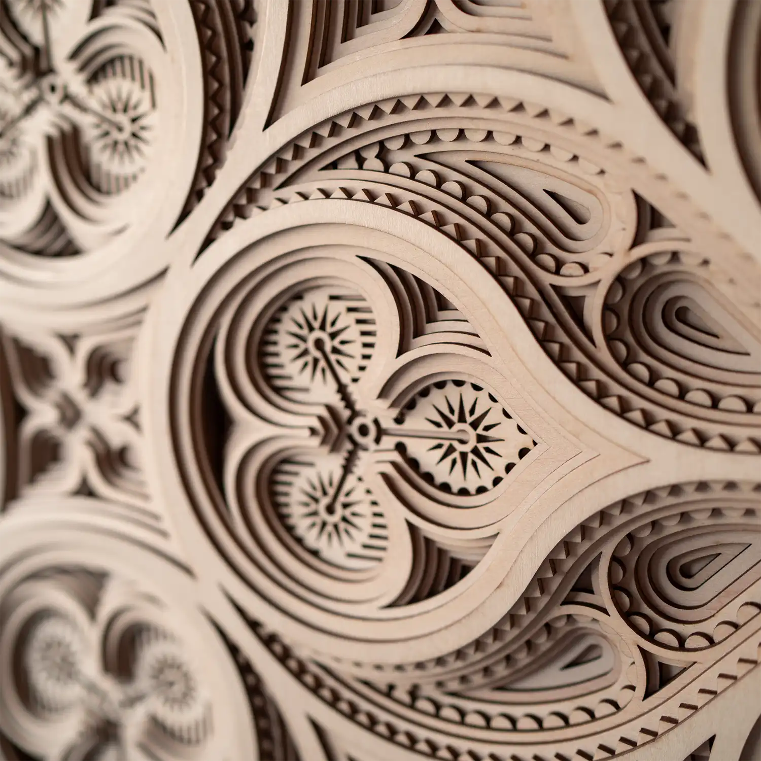 Rose detail