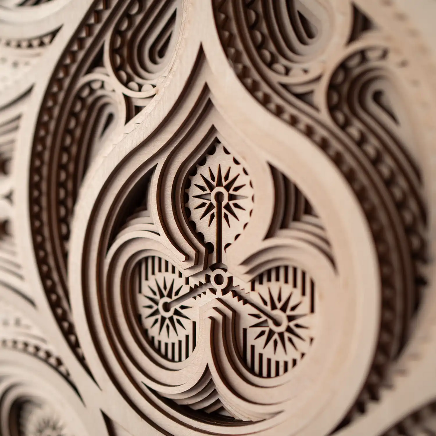 Rose detail
