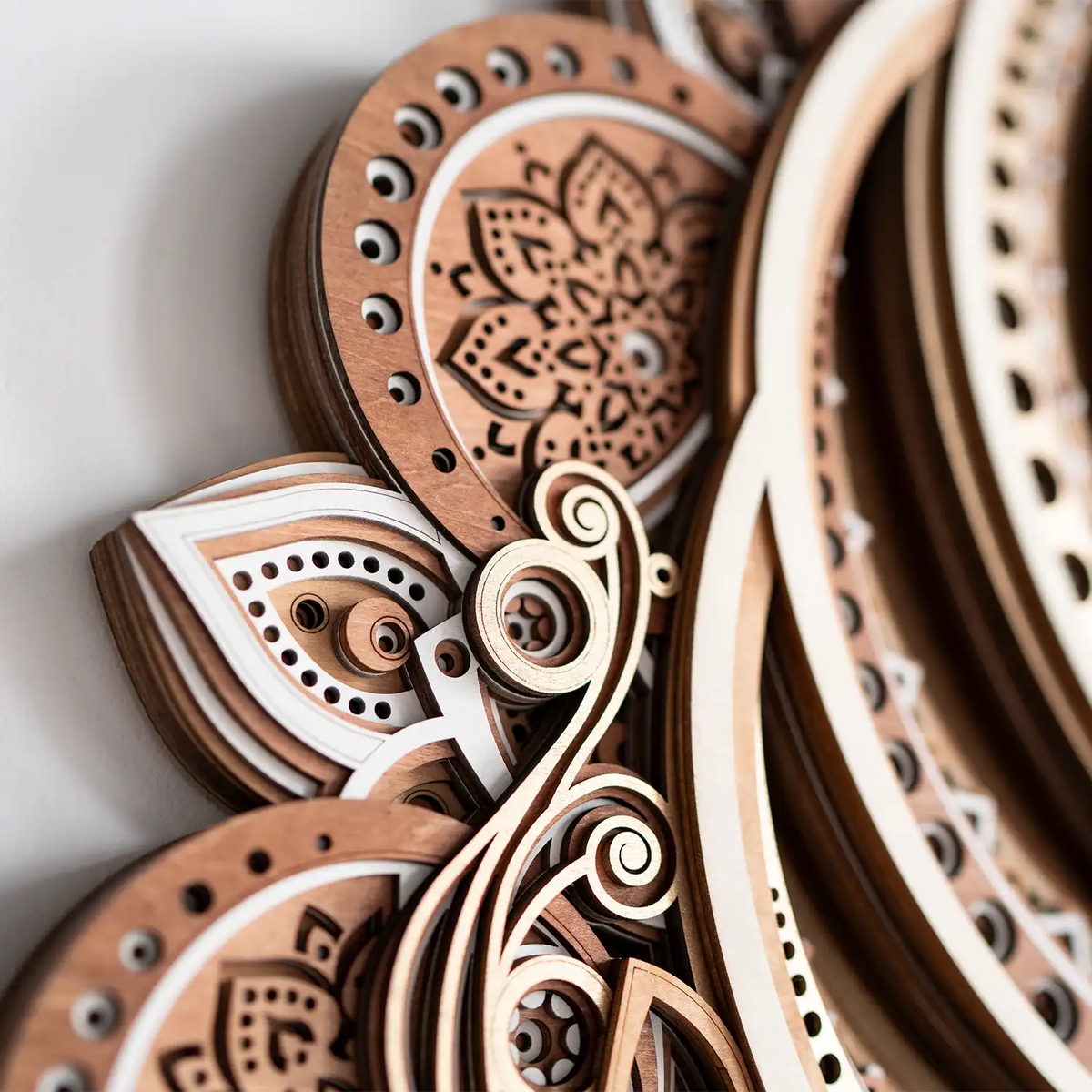 Yinyang Nautilus detail