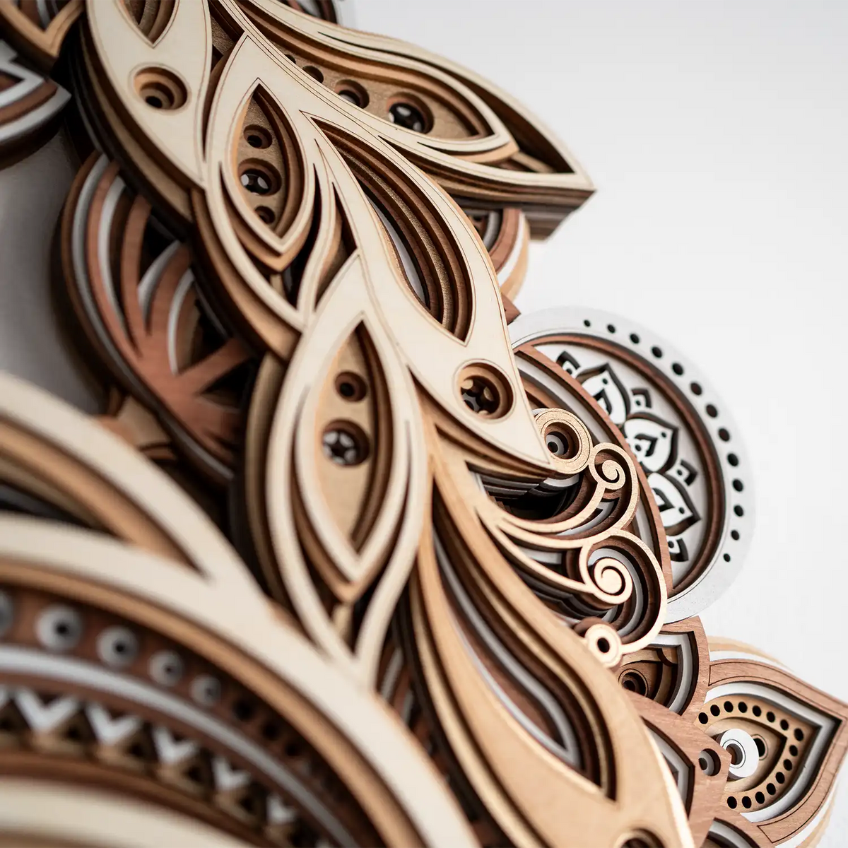 Yinyang Nautilus detail