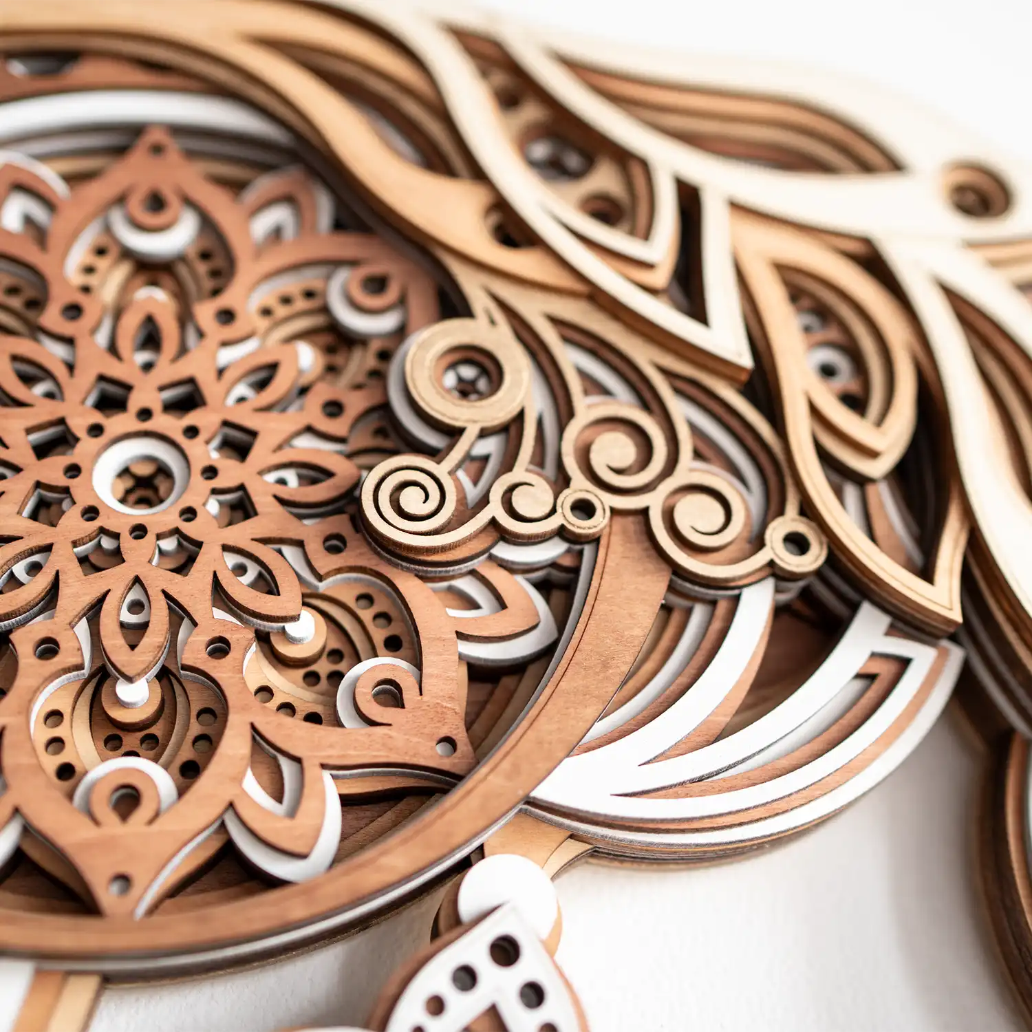 Yinyang Nautilus detail